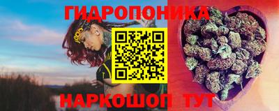 сатива Пенза