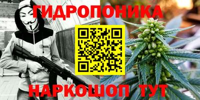 твердый Партизанск
