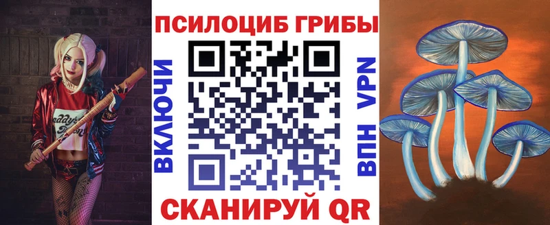 mega онион  Шатура  Псилоцибиновые грибы Psilocybine cubensis  даркнет сайт 