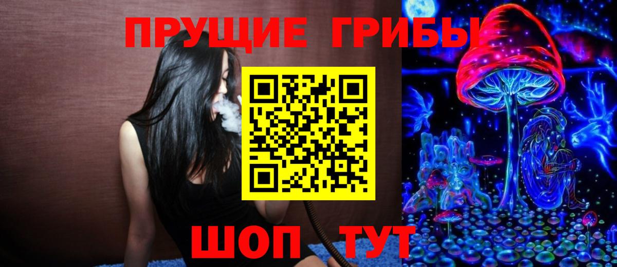 Псилоцибиновые грибы MAGIC MUSHROOMS  Вход с VPN  Шатура 