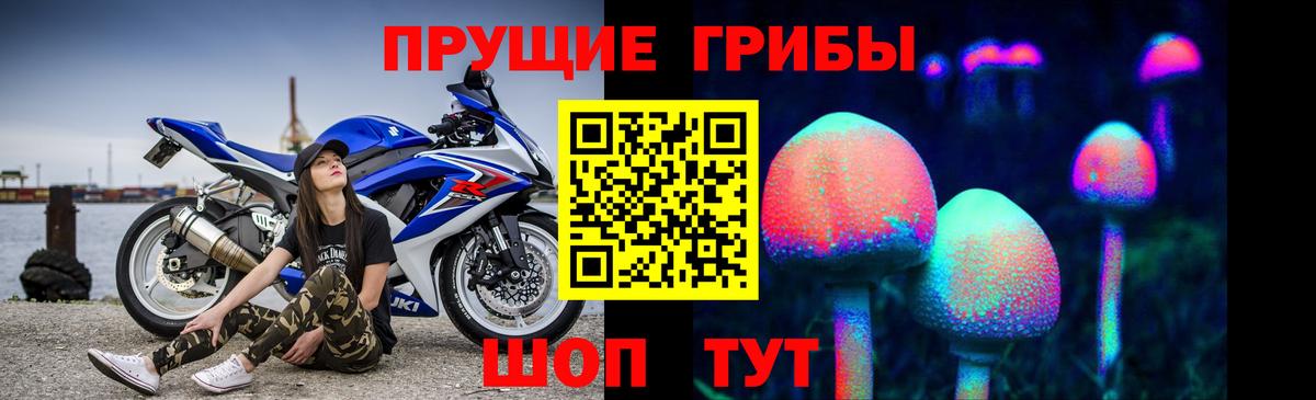 Псилоцибиновые грибы прущие грибы Шатура